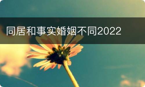 同居和事实婚姻不同2022