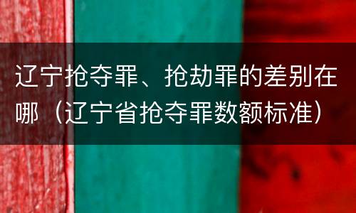 辽宁抢夺罪、抢劫罪的差别在哪（辽宁省抢夺罪数额标准）