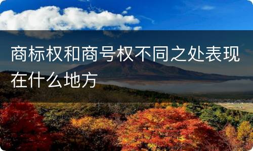 商标权和商号权不同之处表现在什么地方