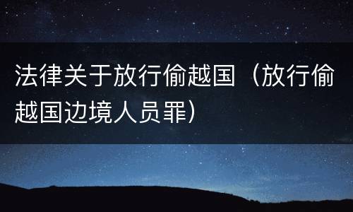 法律关于放行偷越国（放行偷越国边境人员罪）
