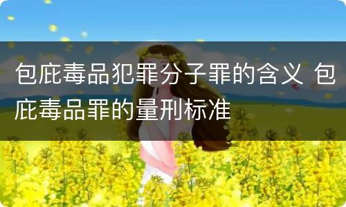 包庇毒品犯罪分子罪的含义 包庇毒品罪的量刑标准
