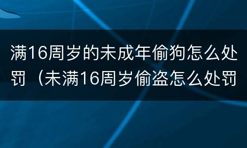 满16周岁的未成年偷狗怎么处罚（未满16周岁偷盗怎么处罚）
