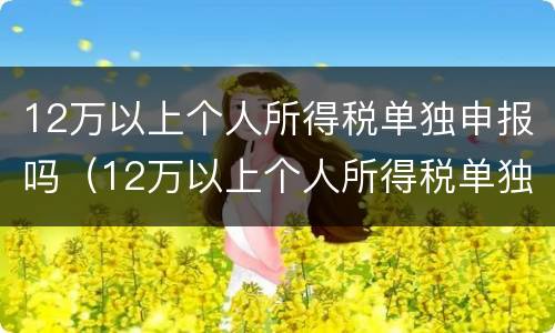 12万以上个人所得税单独申报吗（12万以上个人所得税单独申报吗为什么）