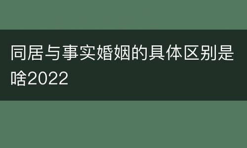 同居与事实婚姻的具体区别是啥2022