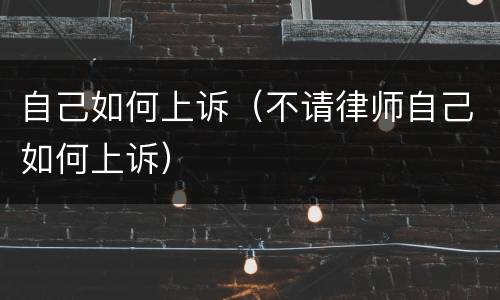 自己如何上诉（不请律师自己如何上诉）