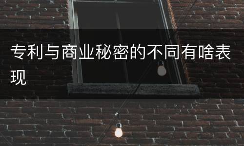 专利与商业秘密的不同有啥表现