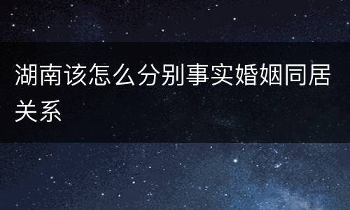 湖南该怎么分别事实婚姻同居关系