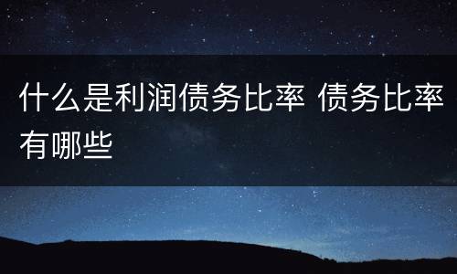 什么是利润债务比率 债务比率有哪些