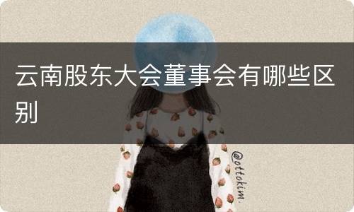 云南股东大会董事会有哪些区别