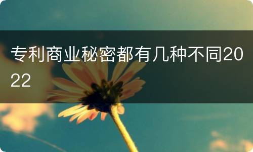 专利商业秘密都有几种不同2022