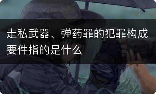 走私武器、弹药罪的犯罪构成要件指的是什么