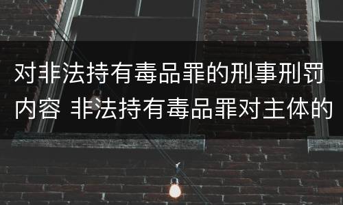 对非法持有毒品罪的刑事刑罚内容 非法持有毒品罪对主体的要求