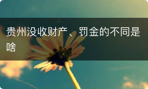 贵州没收财产、罚金的不同是啥
