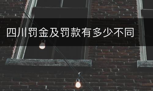 四川罚金及罚款有多少不同