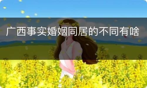 广西事实婚姻同居的不同有啥