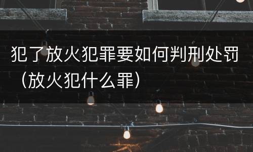 犯了放火犯罪要如何判刑处罚（放火犯什么罪）