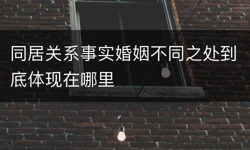 同居关系事实婚姻不同之处到底体现在哪里