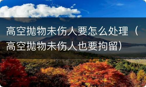 高空抛物未伤人要怎么处理（高空抛物未伤人也要拘留）