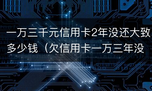 一万三千元信用卡2年没还大致多少钱（欠信用卡一万三年没还后可会怎样?）