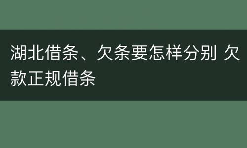 湖北借条、欠条要怎样分别 欠款正规借条