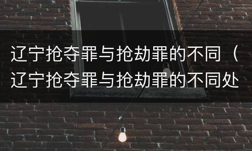 辽宁抢夺罪与抢劫罪的不同（辽宁抢夺罪与抢劫罪的不同处罚）