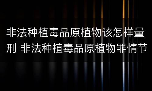 非法种植毒品原植物该怎样量刑 非法种植毒品原植物罪情节严重