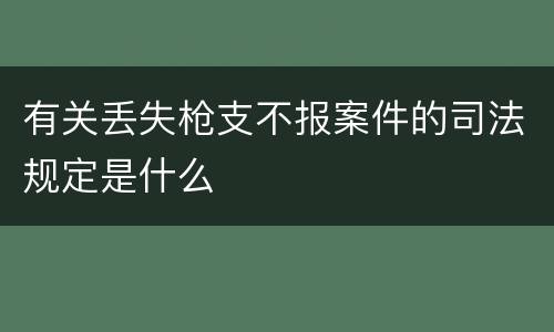有关丢失枪支不报案件的司法规定是什么