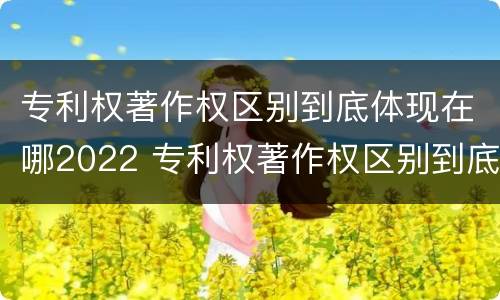 专利权著作权区别到底体现在哪2022 专利权著作权区别到底体现在哪2022年