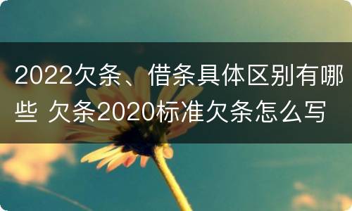 2022欠条、借条具体区别有哪些 欠条2020标准欠条怎么写