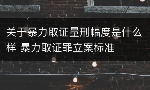 关于暴力取证量刑幅度是什么样 暴力取证罪立案标准