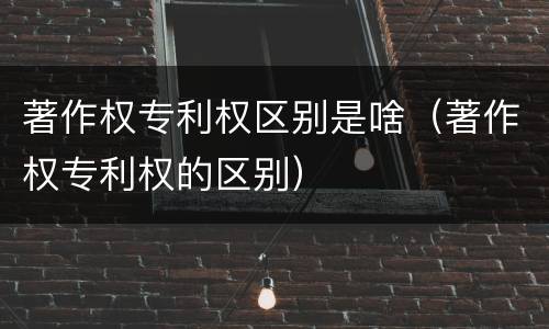 著作权专利权区别是啥（著作权专利权的区别）