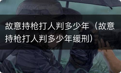 故意持枪打人判多少年（故意持枪打人判多少年缓刑）