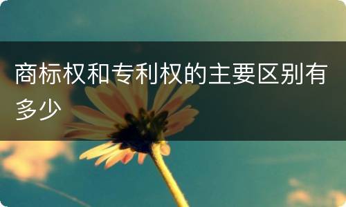商标权和专利权的主要区别有多少