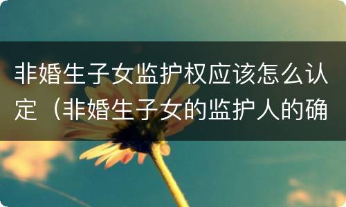 非婚生子女监护权应该怎么认定（非婚生子女的监护人的确定）