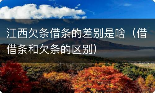 江西欠条借条的差别是啥（借借条和欠条的区别）