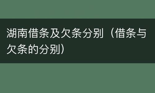 湖南借条及欠条分别（借条与欠条的分别）