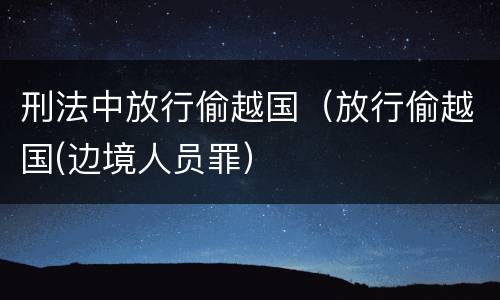 刑法中放行偷越国(放行偷越国(边境人员罪)