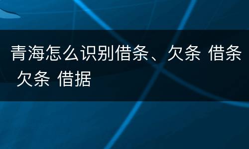 青海怎么识别借条、欠条 借条 欠条 借据