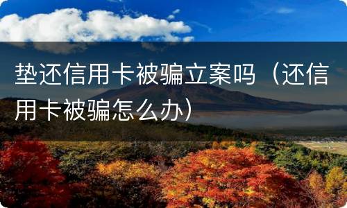 垫还信用卡被骗立案吗（还信用卡被骗怎么办）