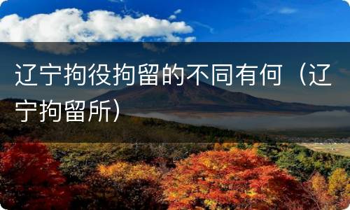 辽宁拘役拘留的不同有何（辽宁拘留所）
