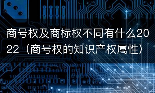 商号权及商标权不同有什么2022（商号权的知识产权属性）