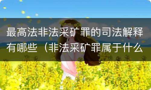 最高法非法采矿罪的司法解释有哪些（非法采矿罪属于什么类型罪）