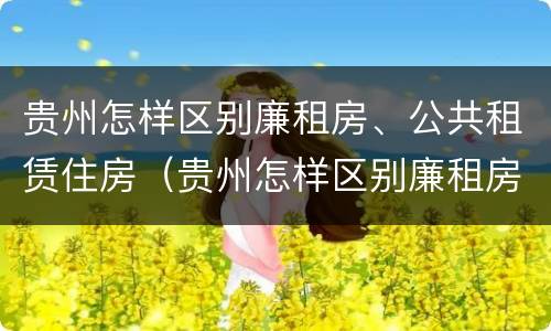 贵州怎样区别廉租房、公共租赁住房（贵州怎样区别廉租房,公共租赁住房和住宅）