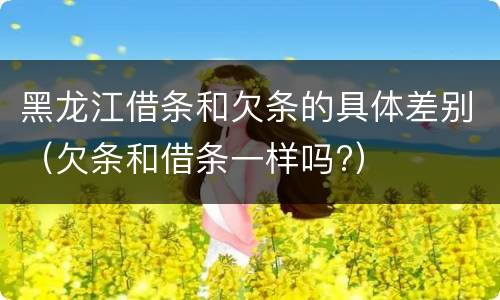 黑龙江借条和欠条的具体差别（欠条和借条一样吗?）