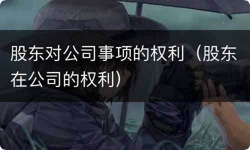 股东对公司事项的权利（股东在公司的权利）
