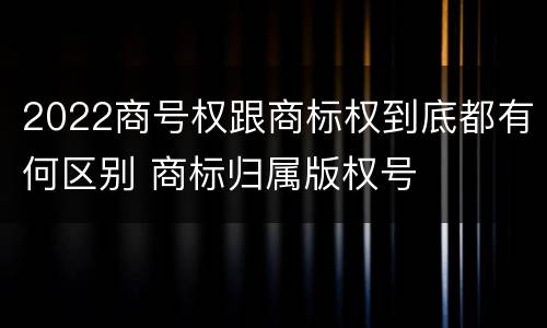 2022商号权跟商标权到底都有何区别 商标归属版权号