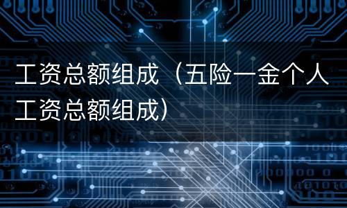 工资总额组成（五险一金个人工资总额组成）