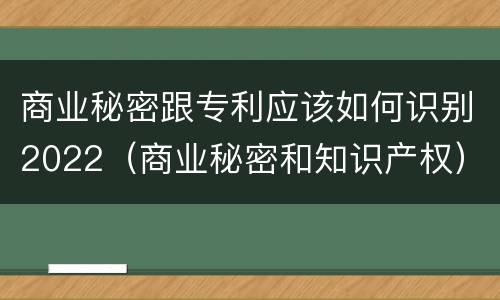 商业秘密跟专利应该如何识别2022（商业秘密和知识产权）