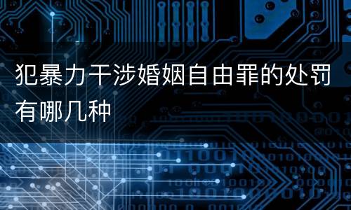 犯暴力干涉婚姻自由罪的处罚有哪几种