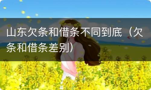 山东欠条和借条不同到底（欠条和借条差别）